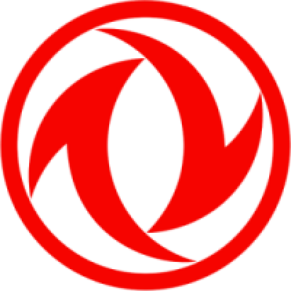 دانگ فنگ دانگ فنگ